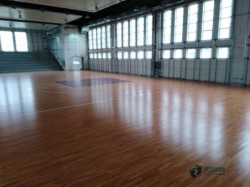 雙龍骨體育館地板廠家報價