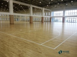 籃球木地板品牌排行榜